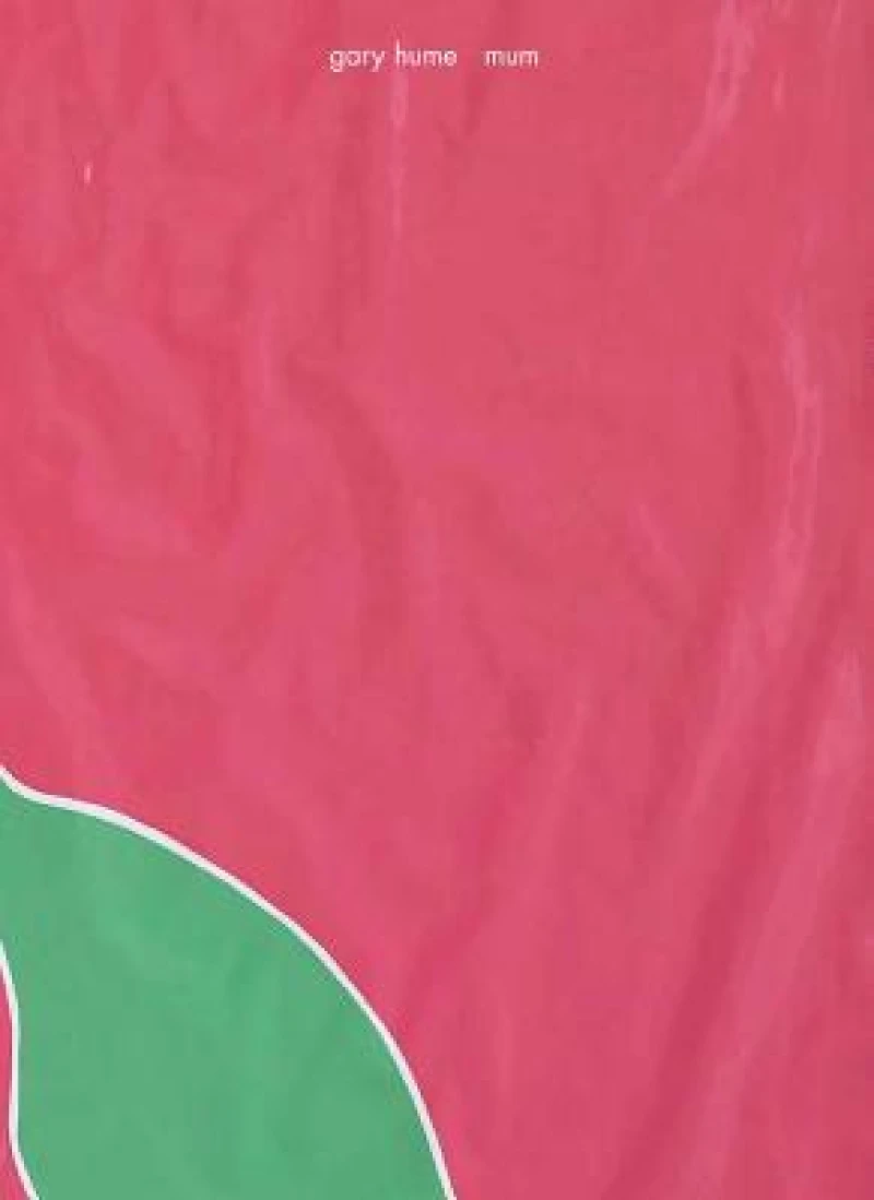 Gary Hume - Mum