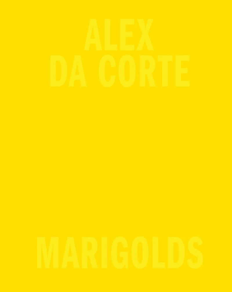 Alex Da Corte: Marigolds