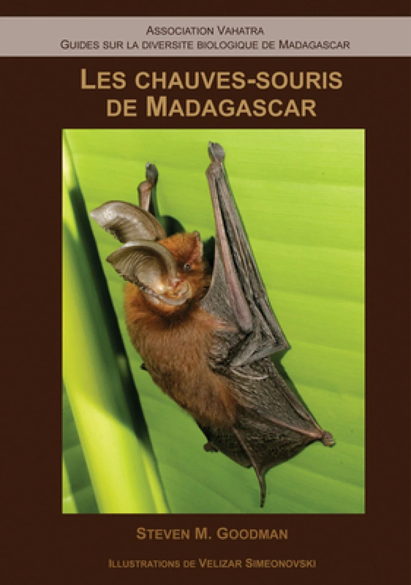 Les Chauves–Souris de Madagascar