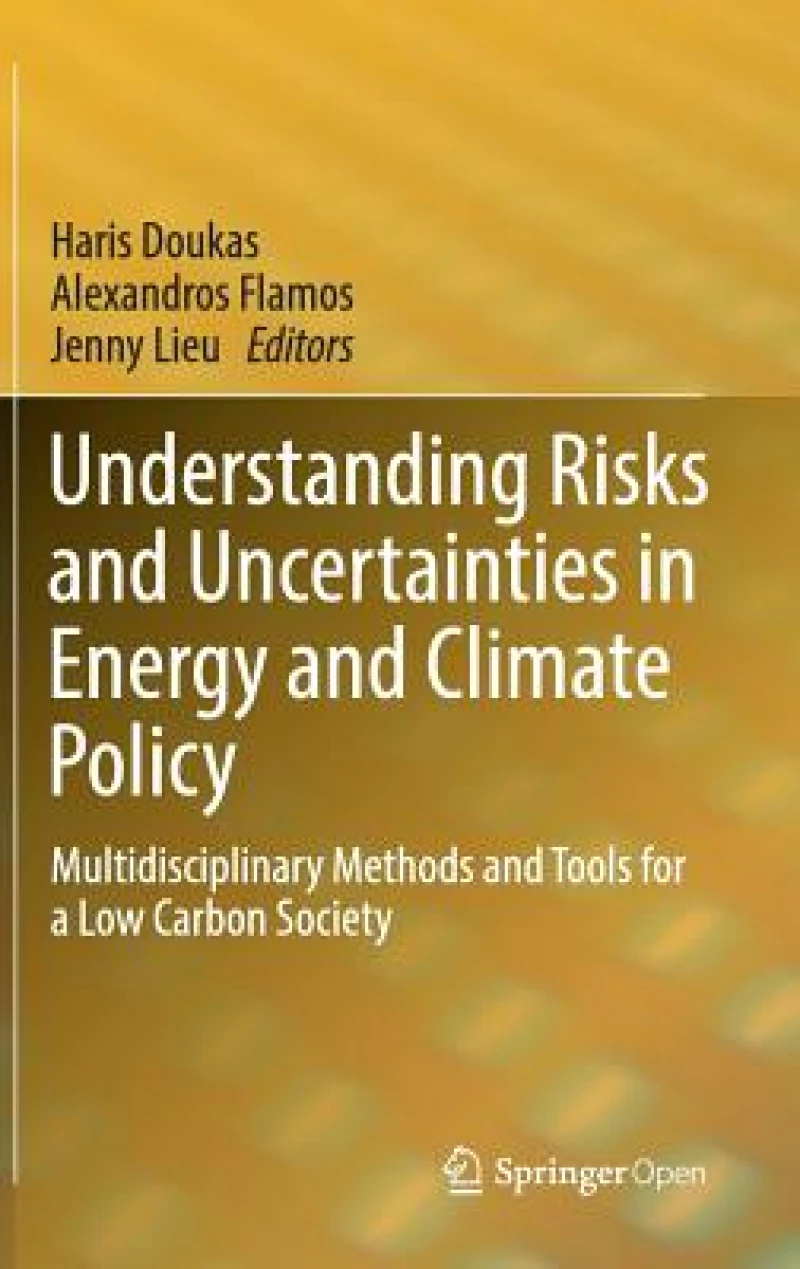 Understanding Risks and Uncertainties in Energy and Climate Policy