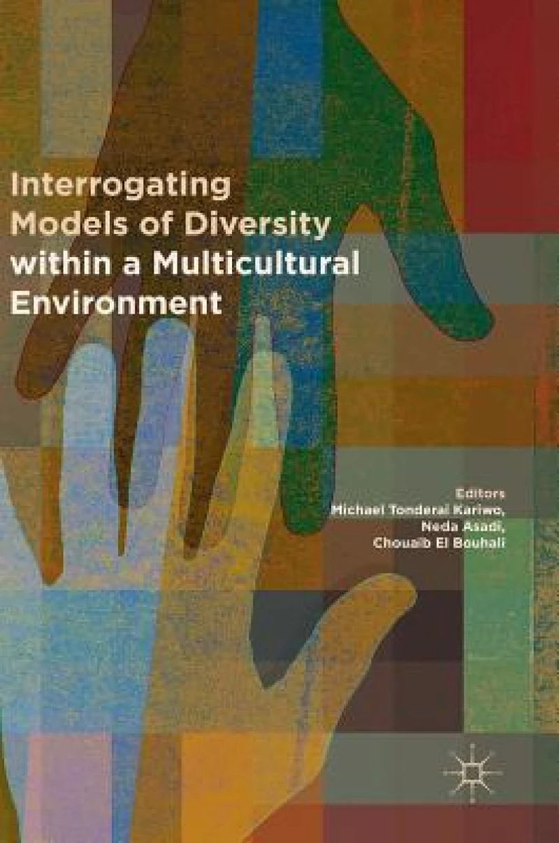 Interrogating Models of Diversity within a Multicultural Environment