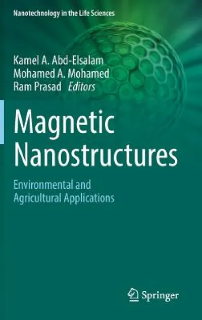 Magnetic Nanostructures
