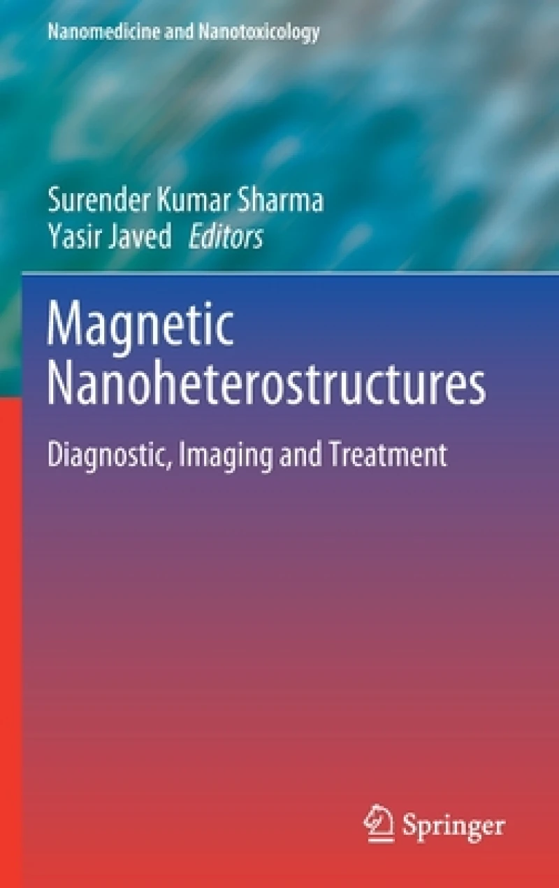 Magnetic Nanoheterostructures