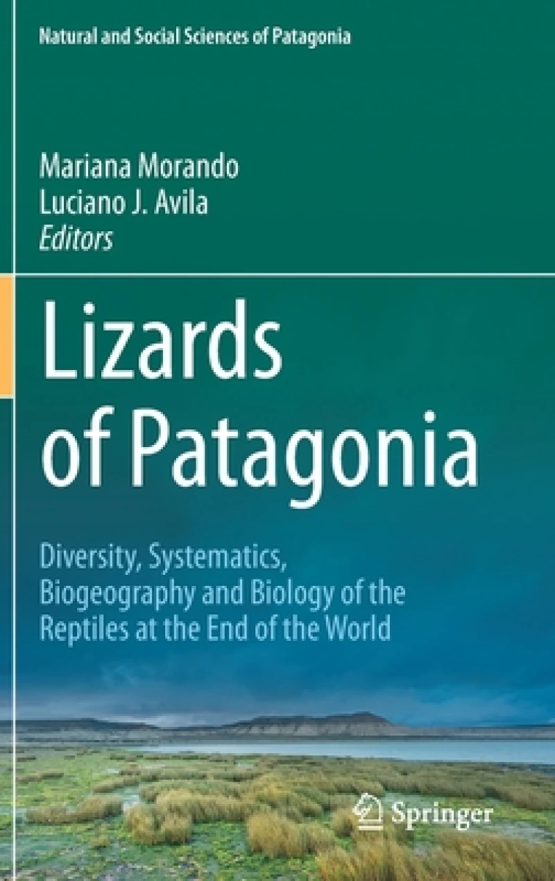 Lizards of Patagonia