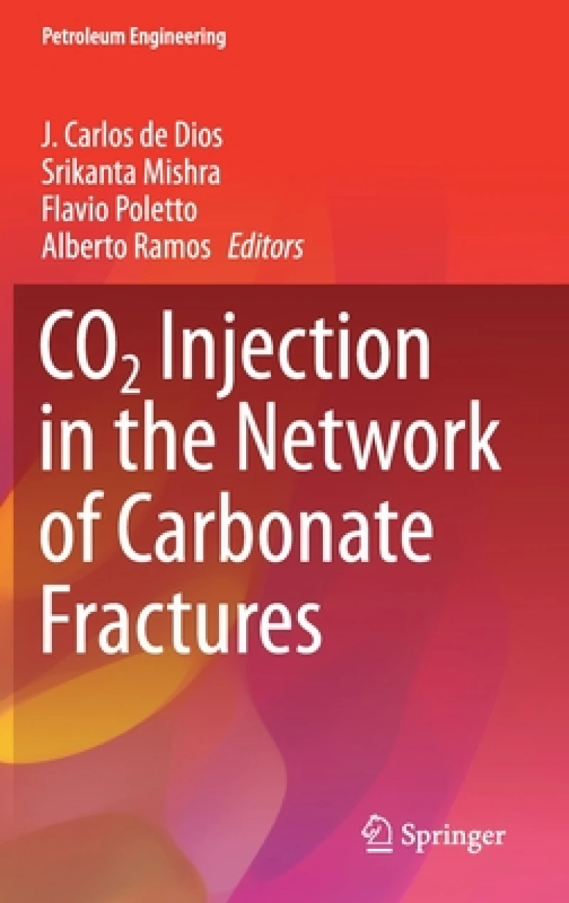 CO2 Injection in the Network of Carbonate Fractures
