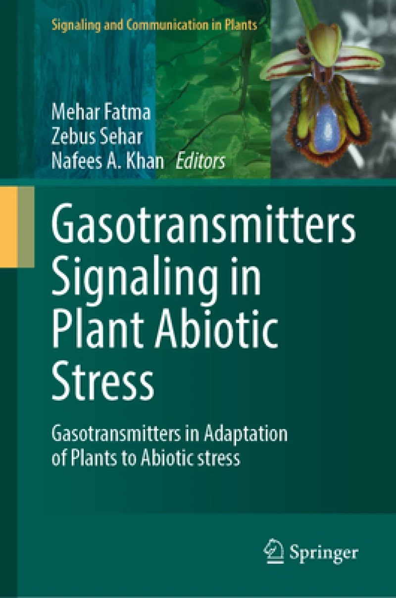 Gasotransmitters Signaling in Plant Abiotic Stress