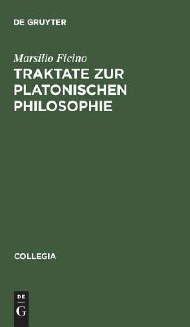 Traktate zur Platonischen Philosophie