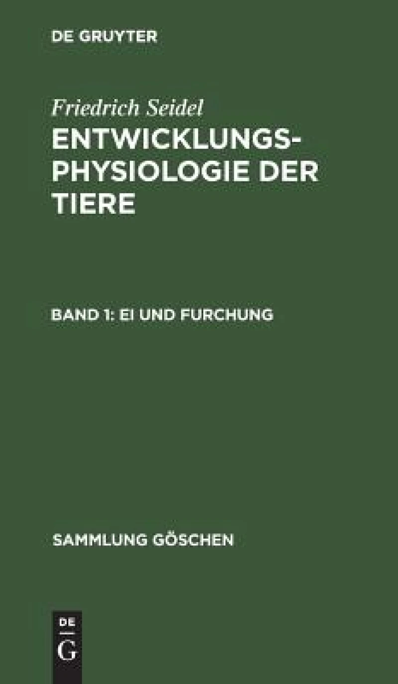 Ei Und Furchung