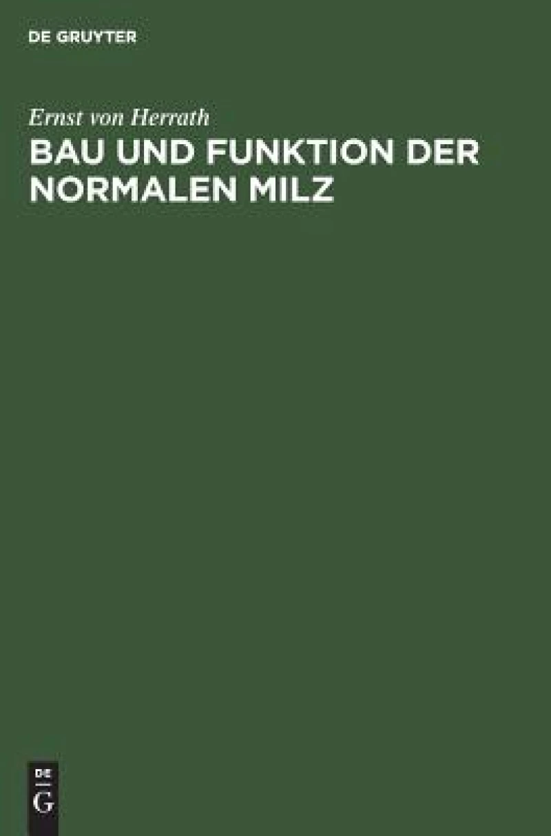 Bau und Funktion der normalen Milz