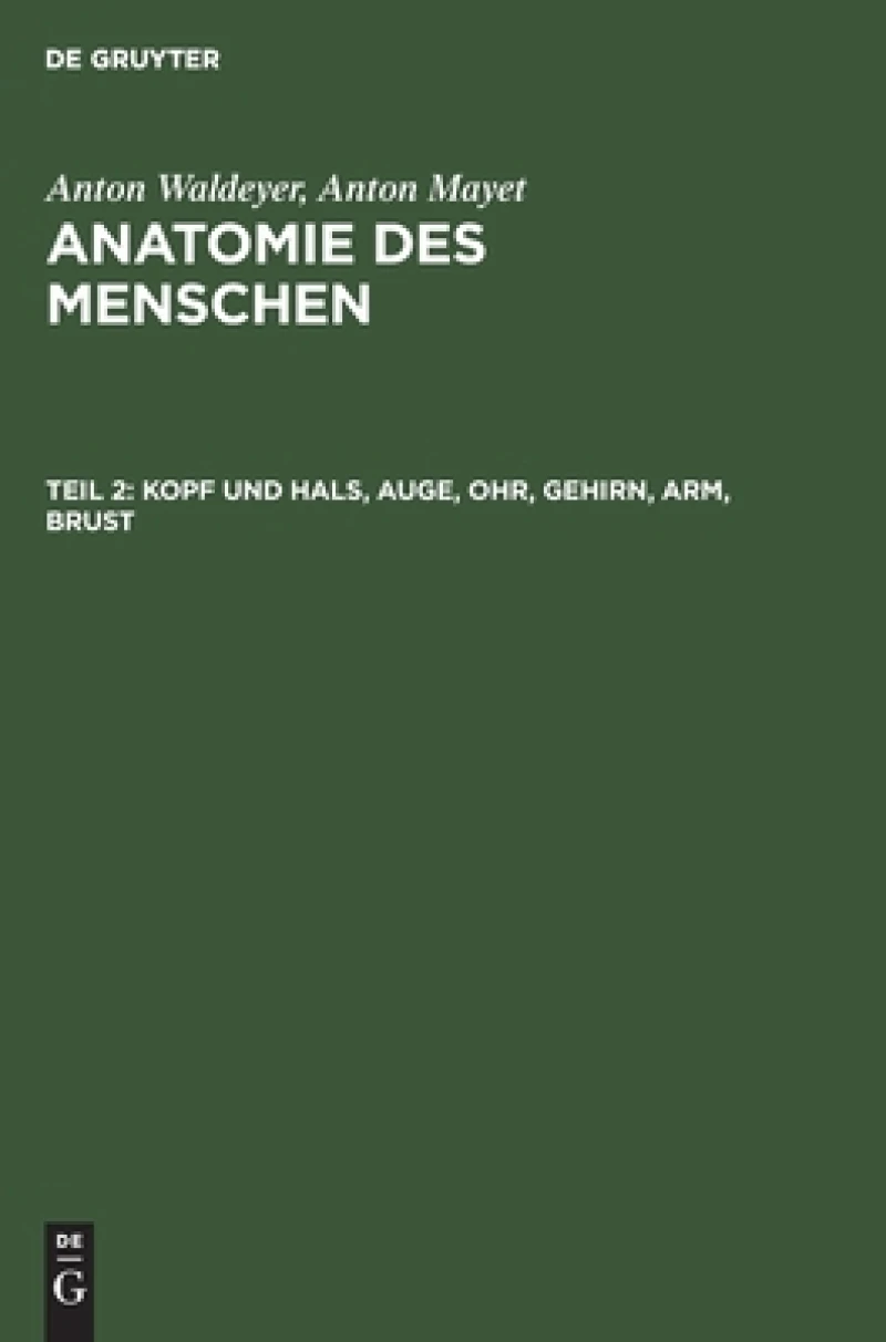 Kopf Und Hals, Auge, Ohr, Gehirn, Arm, Brust