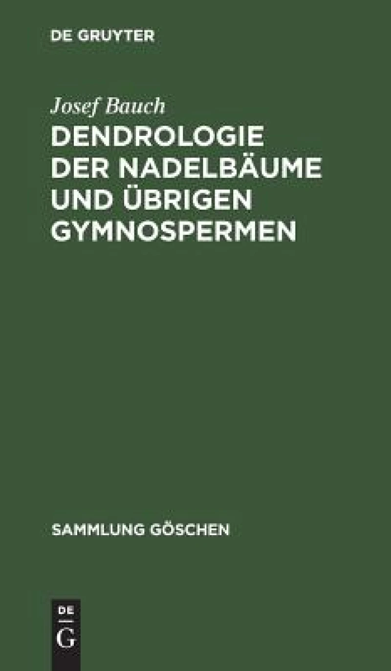 Dendrologie Der Nadelbäume Und Übrigen Gymnospermen