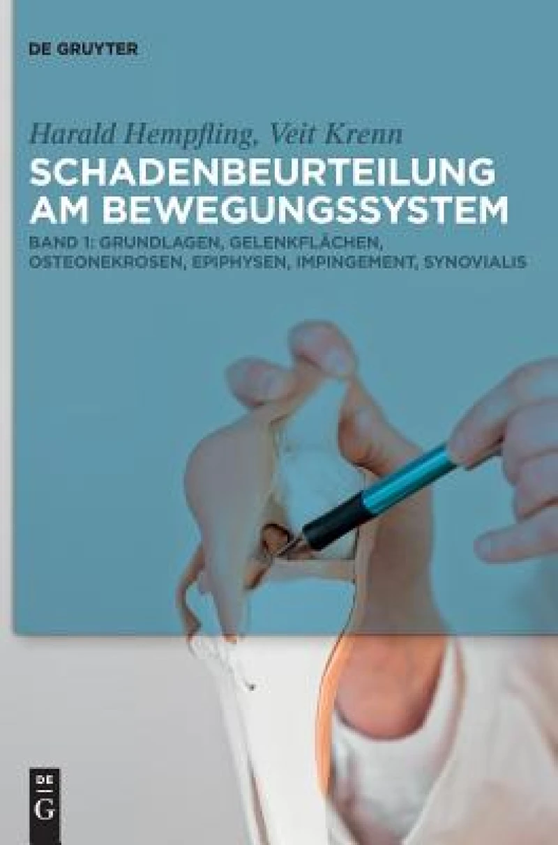 Grundlagen, Gelenkflächen, Osteonekrosen, Epiphysen, Impingement, Synovialis