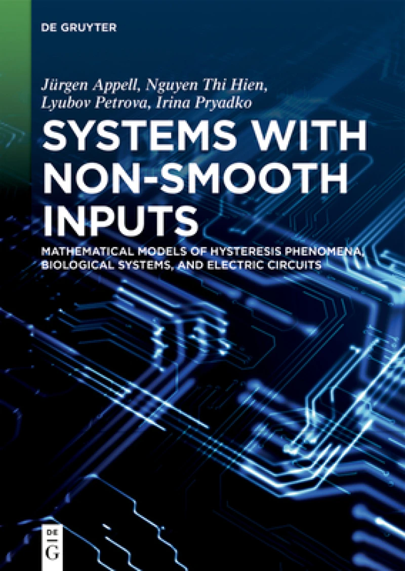 Systems with Non-Smooth Inputs