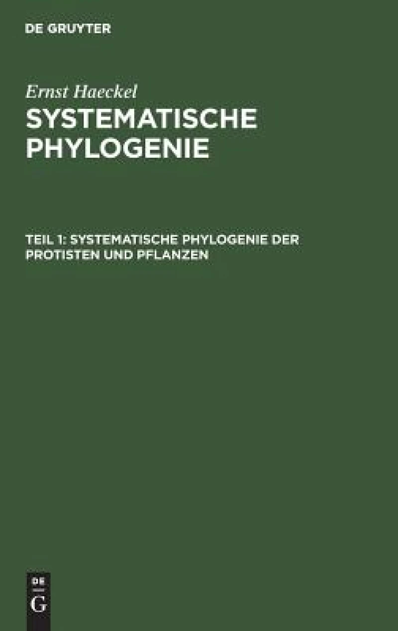 Systematische Phylogenie Der Protisten Und Pflanzen