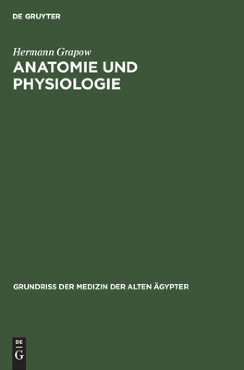 Anatomie Und Physiologie