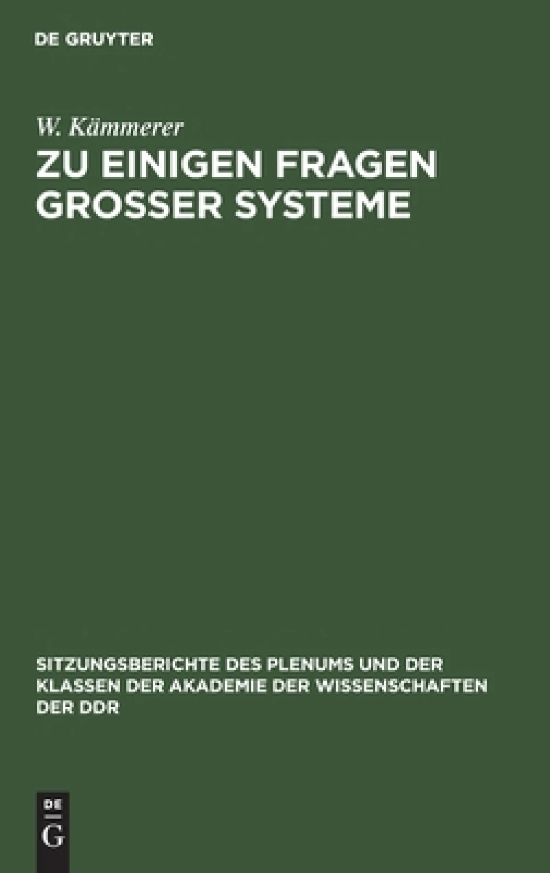 Zu Einigen Fragen Großer Systeme