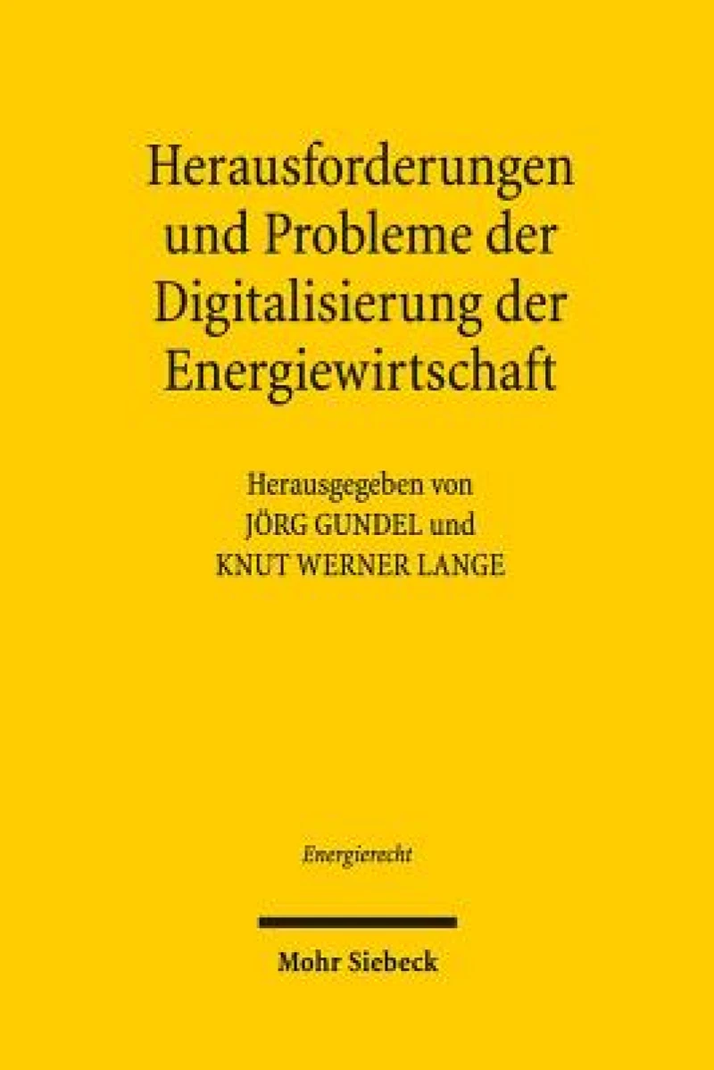 Herausforderungen und Probleme der Digitalisierung der Energiewirtschaft