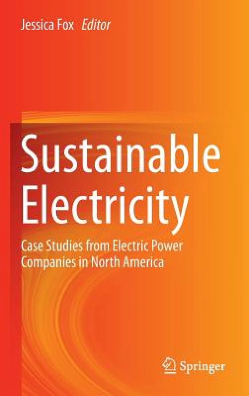 Sustainable Electricity
