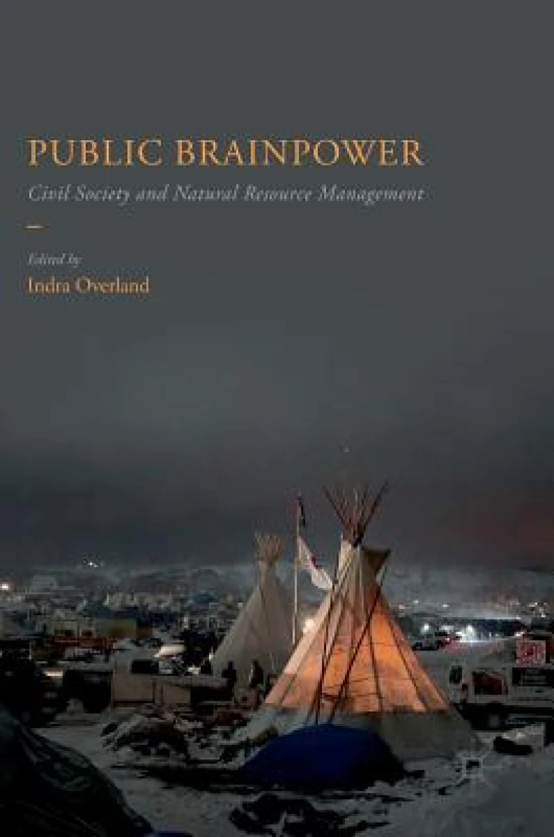 Public Brainpower