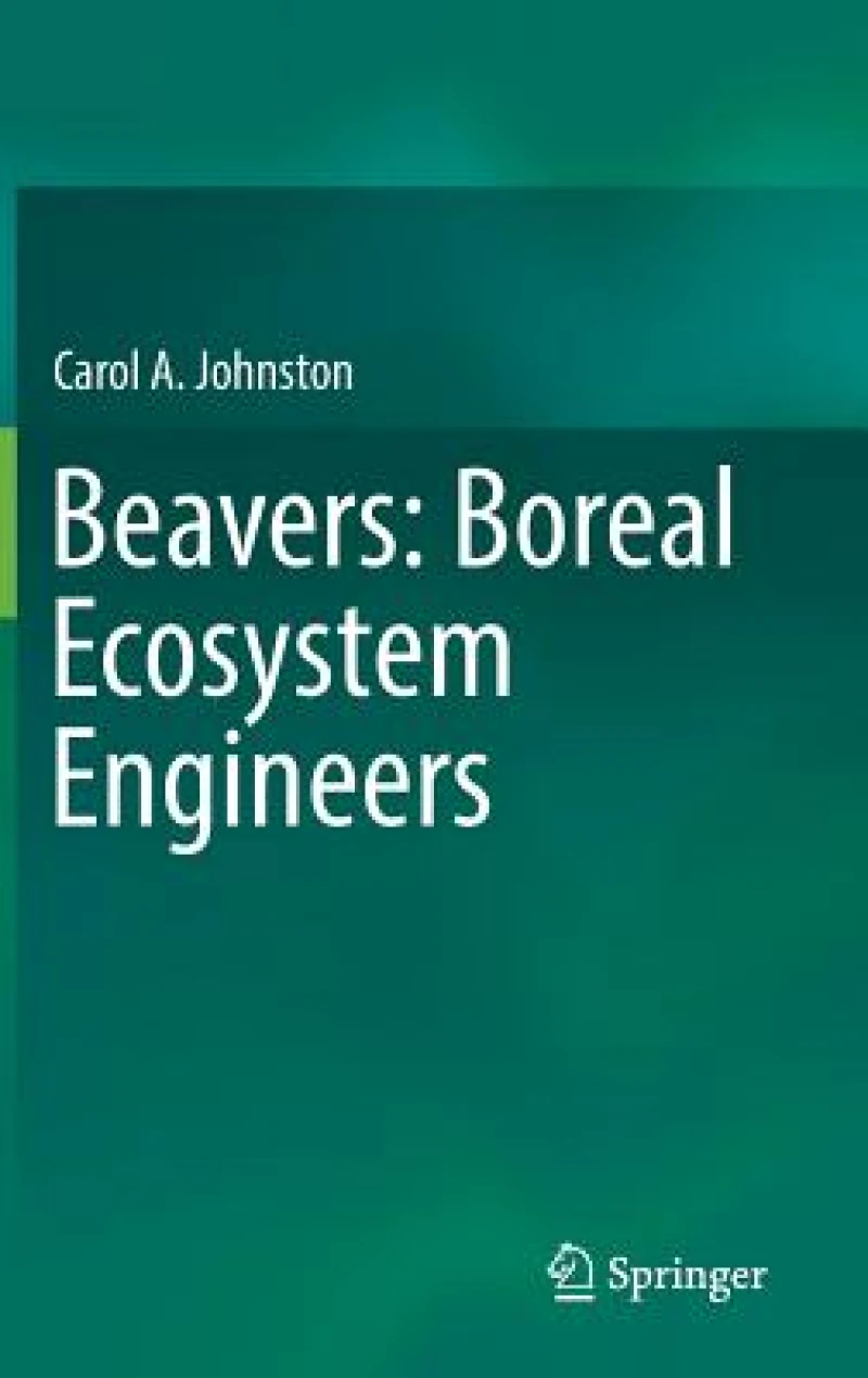 Beavers