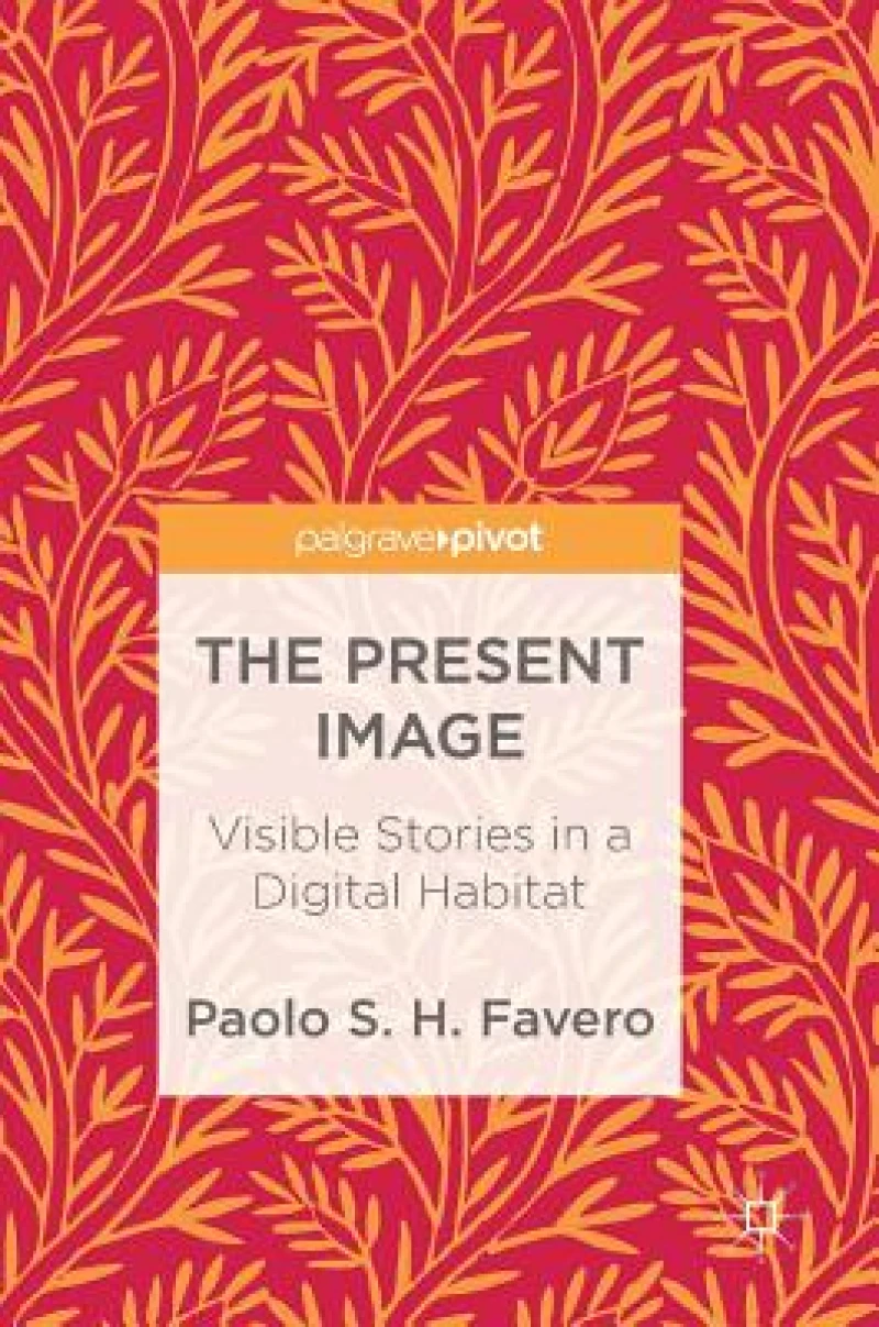 The Present Image