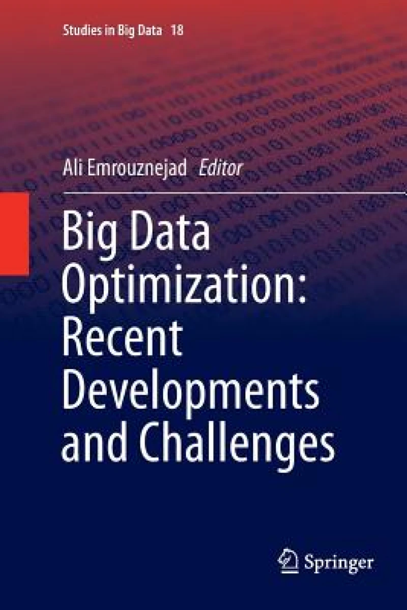 Big Data Optimization