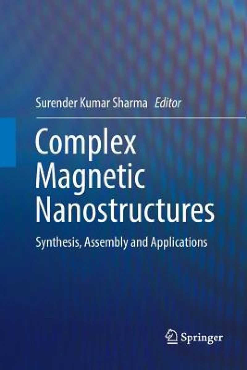 Complex Magnetic Nanostructures