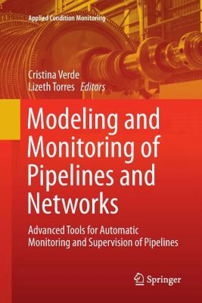 Modeling and Monitoring of Pipelines and Networks