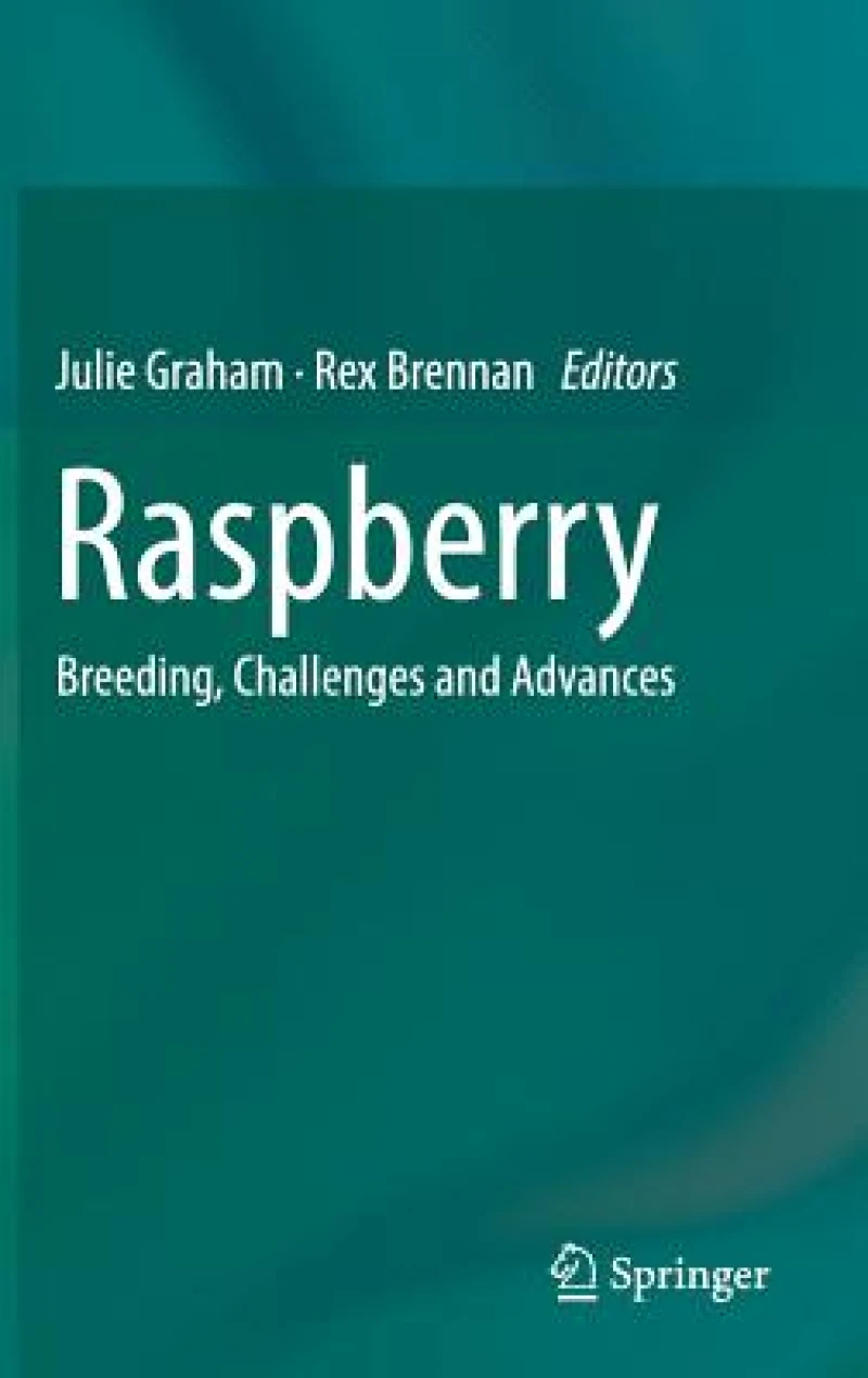 Raspberry