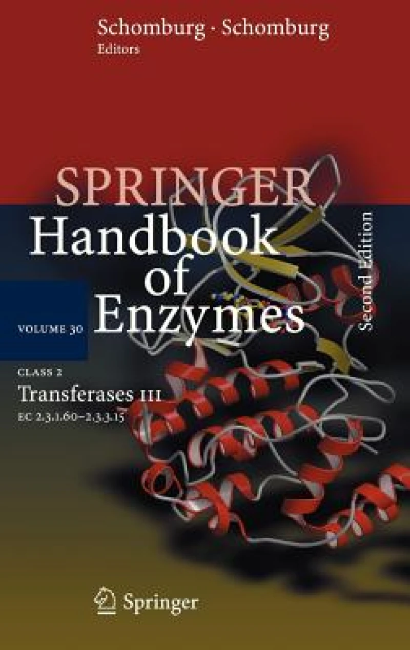 Class 2 Transferases III