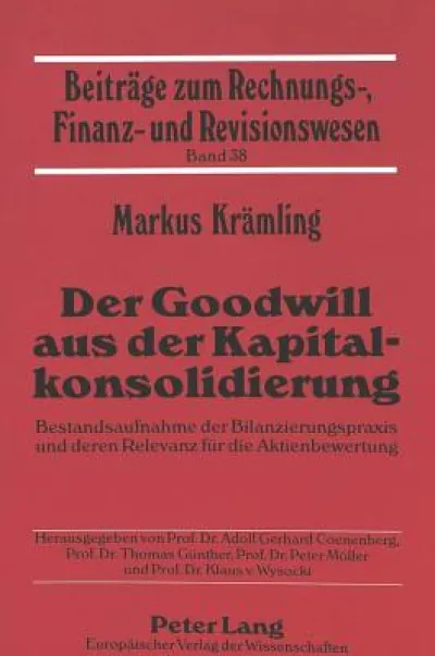 Der Goodwill aus der Kapitalkonsolidierung
