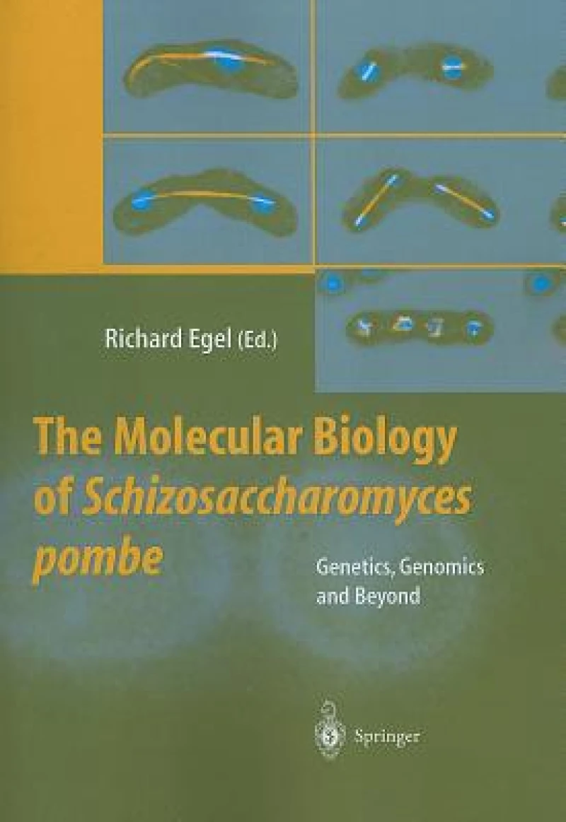 The Molecular Biology of Schizosaccharomyces pombe