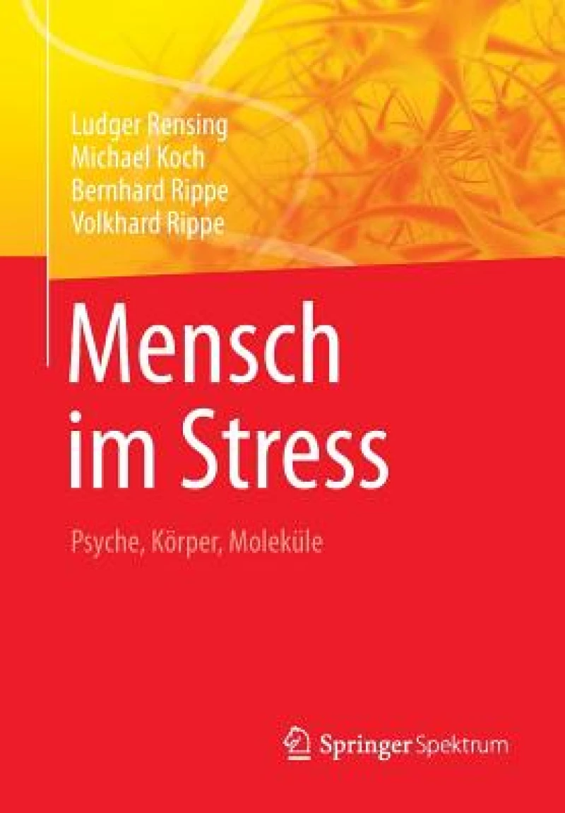Mensch Im Stress