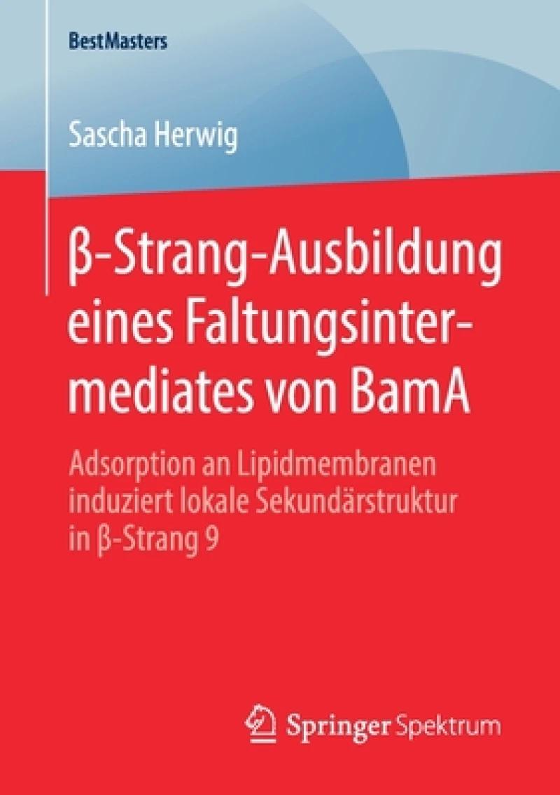 ß-Strang-Ausbildung eines Faltungsintermediates von BamA