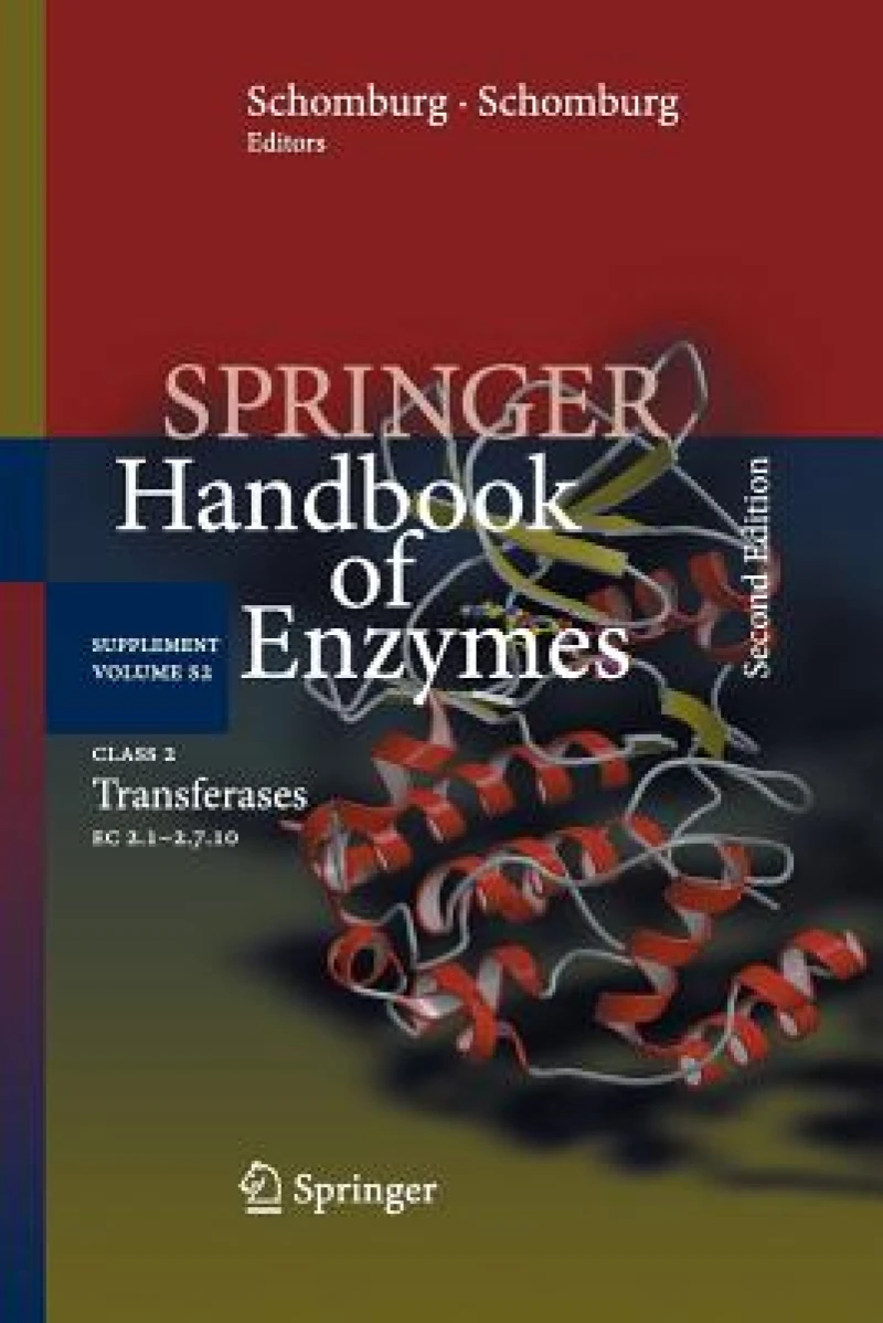 Class 2 Transferases
