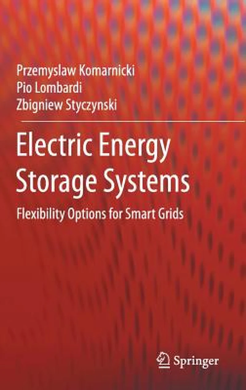 Electric Energy Storage Systems