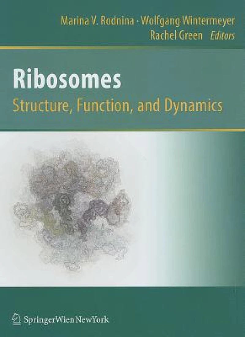 Ribosomes  Structure, Function, and Dynamics