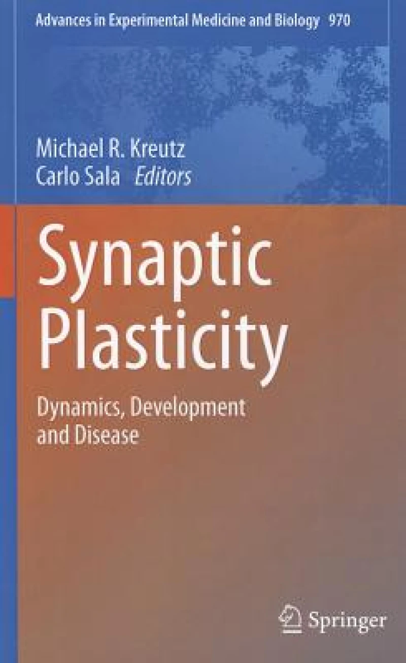 Synaptic Plasticity