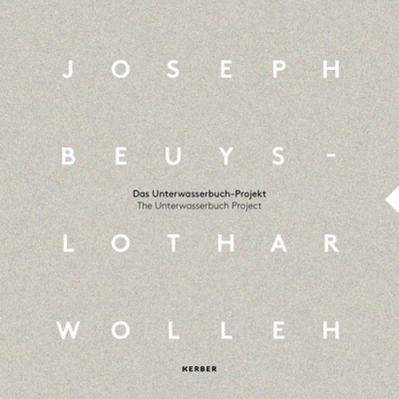 Joseph Beuys and Lothar Wolleh