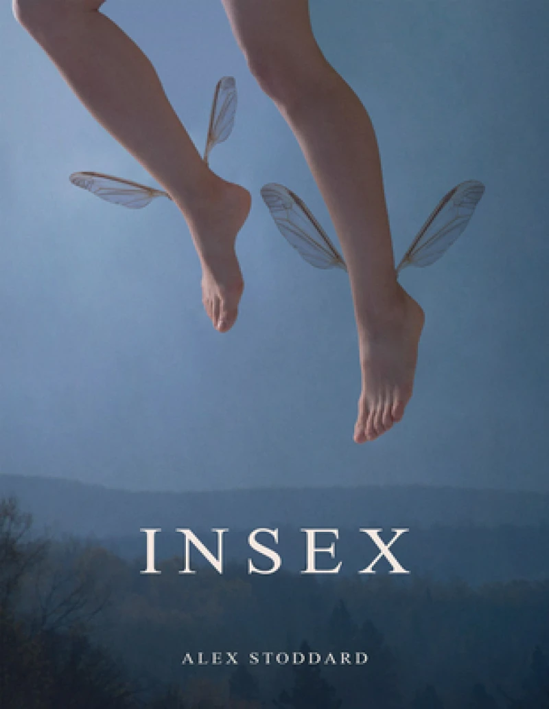 Insex