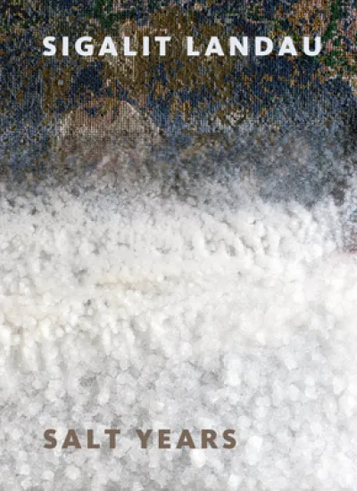 Sigalit Landau: Salt Years