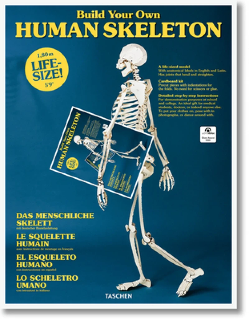 Build Your Own Human Skeleton