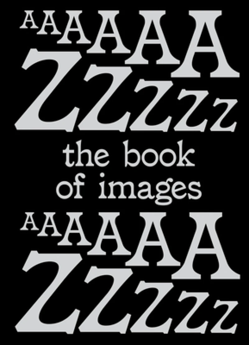 The Book of Images An illustrated dictionary of visual experiences From A to Z