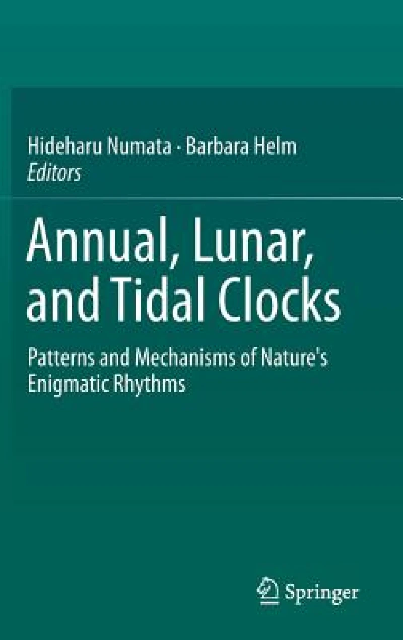 Annual, Lunar, and Tidal Clocks