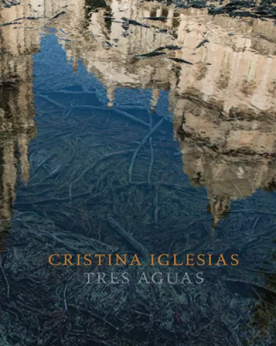 Cristina Iglesias: Tres Aguas