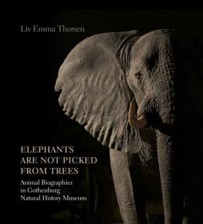 Elephants Are not Picked from Trees