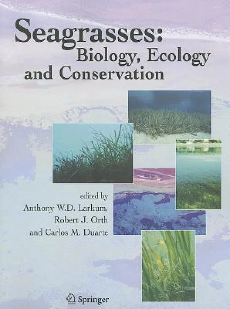 Seagrasses