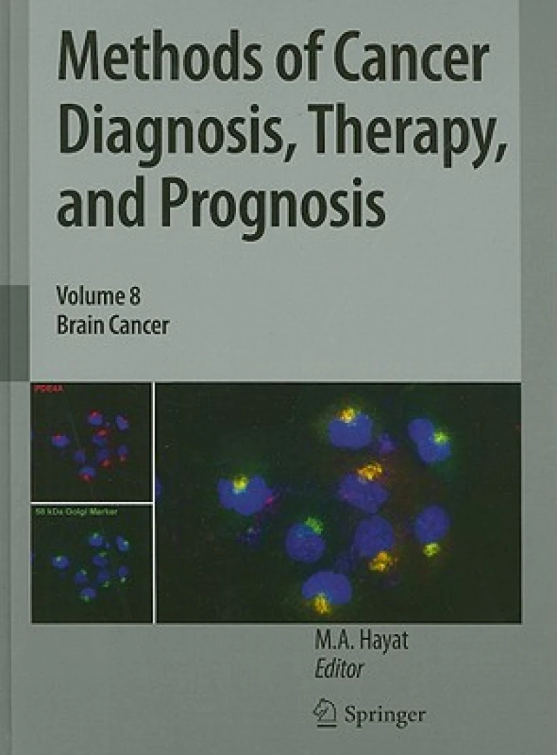 Methods of Cancer Diagnosis, Therapy, and Prognosis
