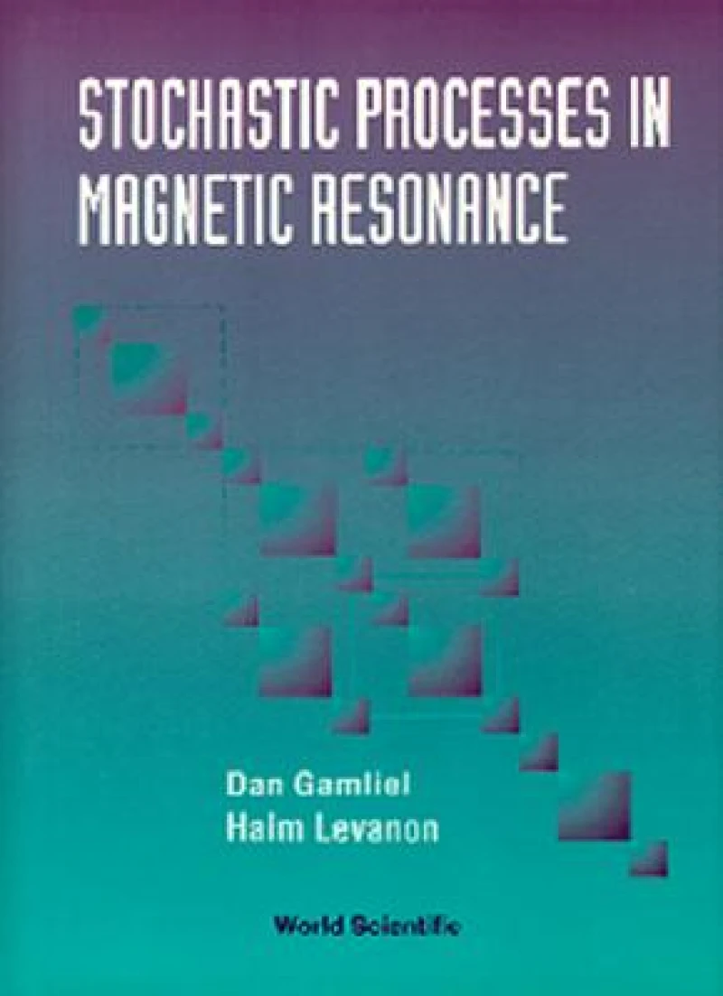 Stochastic Processes in Magnetic...