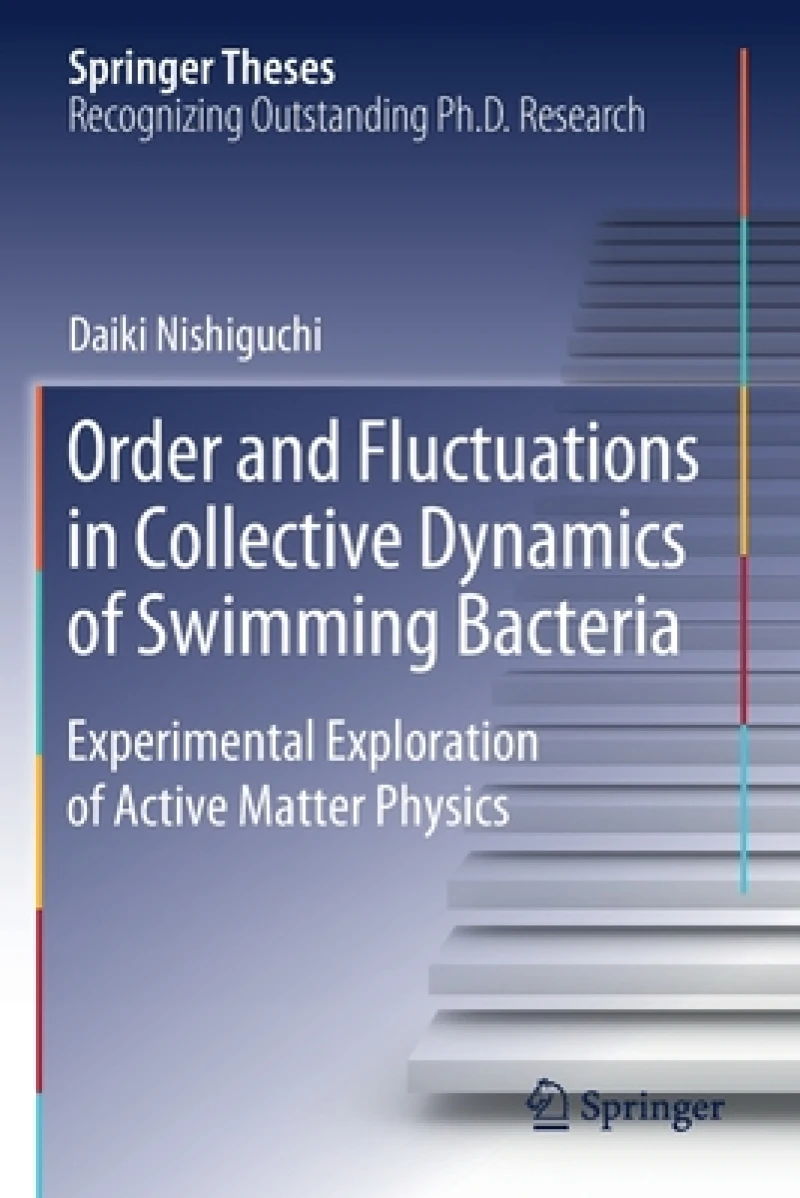 Order and Fluctuations in Collective Dynamics of Swimming Bacteria